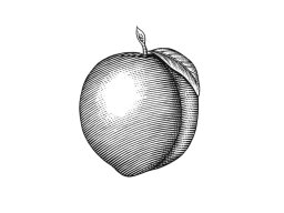 Peach Icon 2